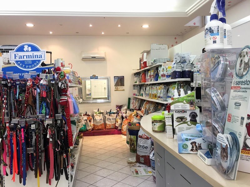 Vanity Pet Di Veronica Fiore - Foto 4