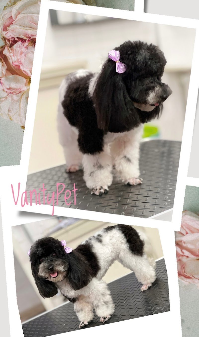 Vanity Pet Di Veronica Fiore - Foto 6