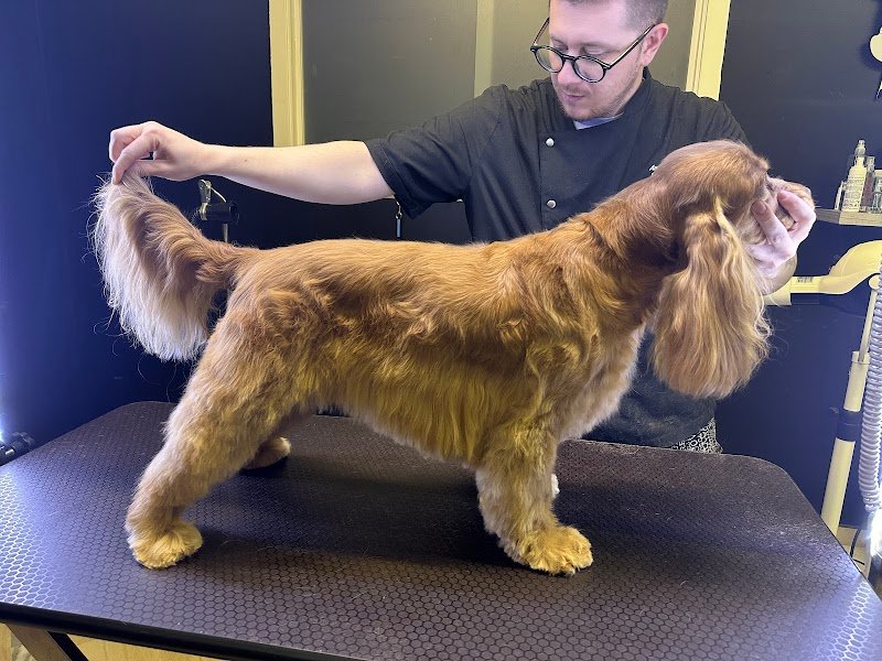 Vanity Pets di Angelo Bruno - Foto 1