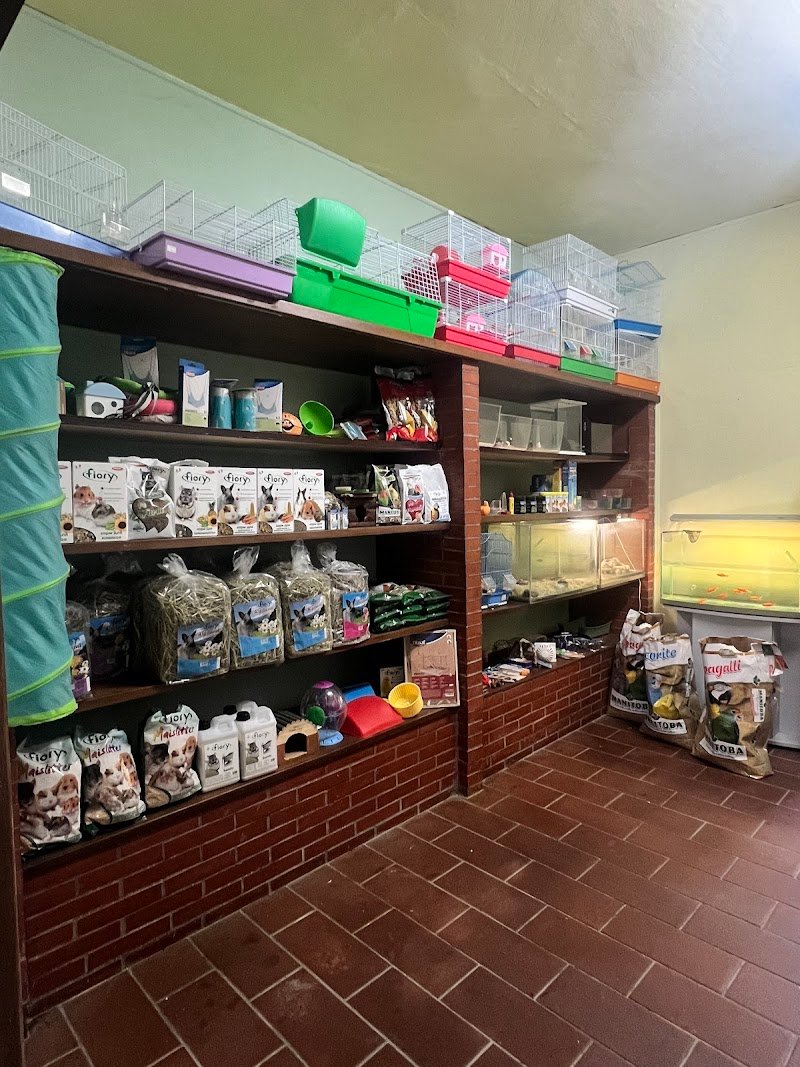 Vanity Pets - Foto 2