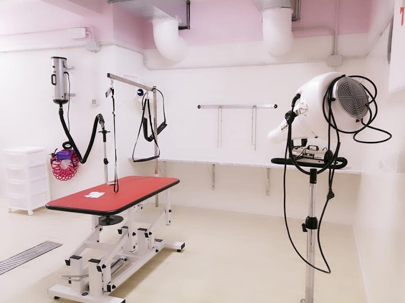 Vanity Tails - Foto 1