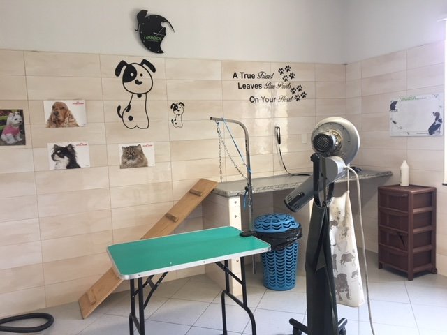 Veter. Farm. di Maesano & C. Snc - Toelettatura e prodotti per animali - Foto 2