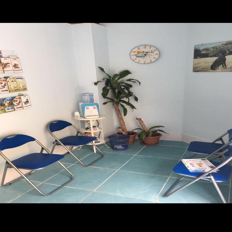 Veterinario Borgia Micali - Foto 3