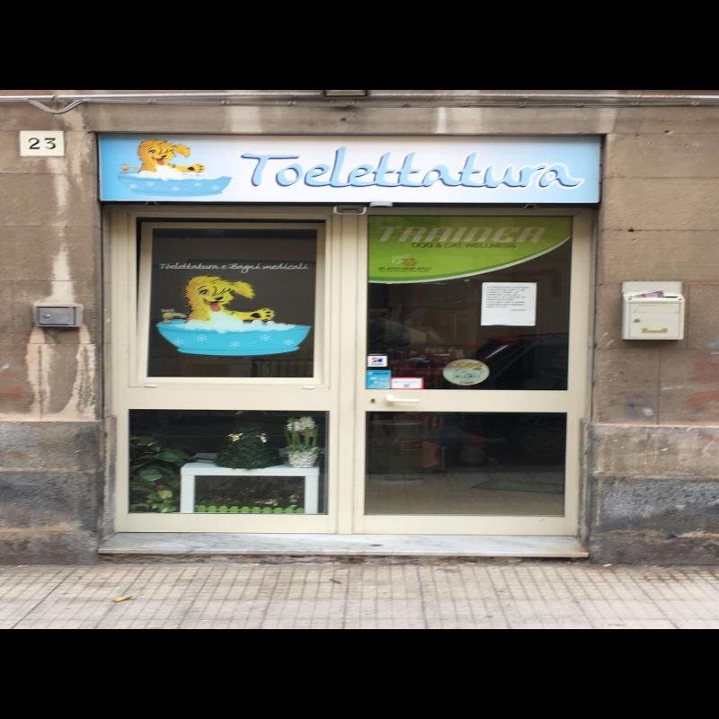 Veterinario Borgia Micali - Foto 4