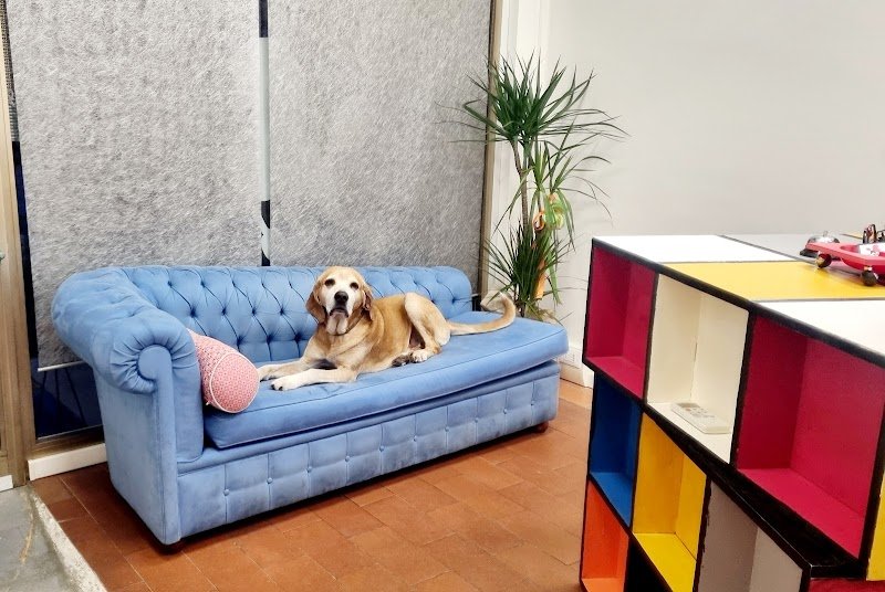 Viola Caroti Toelettage - Foto 4