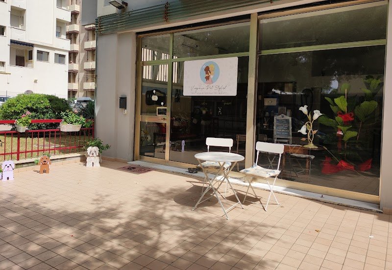 Virginia Pet Stylist Toelettatura professionale per cani e gatti - Foto 4