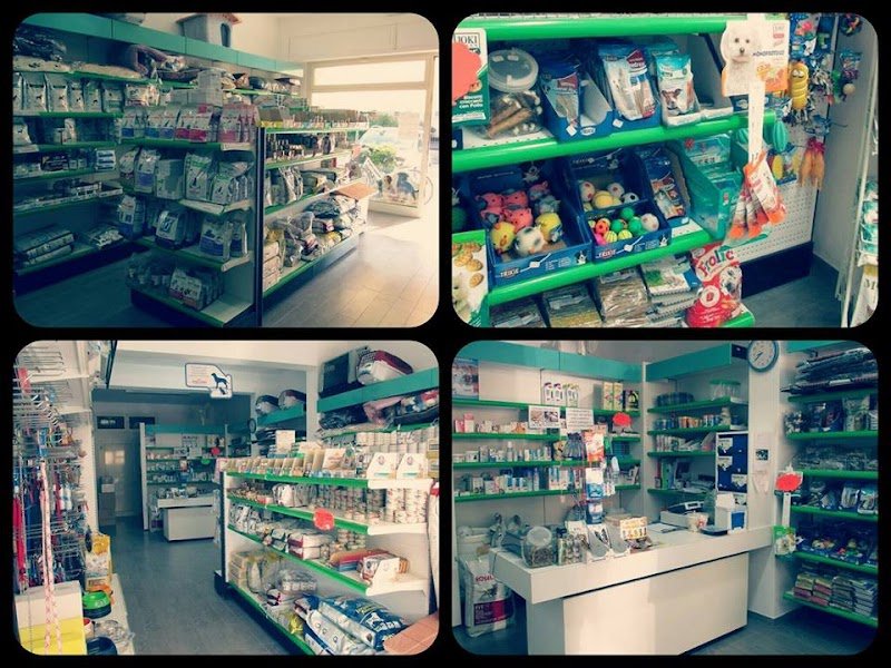 Vita Da Cane - Foto 1