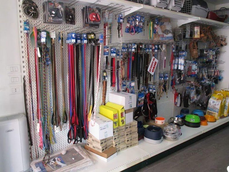 Vita Da Cane - Foto 5