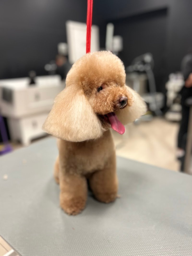 Walter’s 1995 - Bitonto - Foto 2