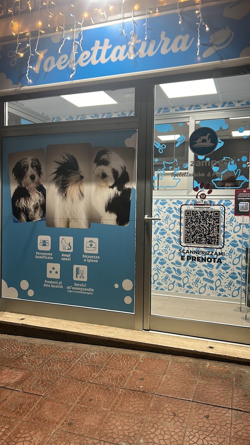 Walter’s 1995 - Bitonto - Foto 3