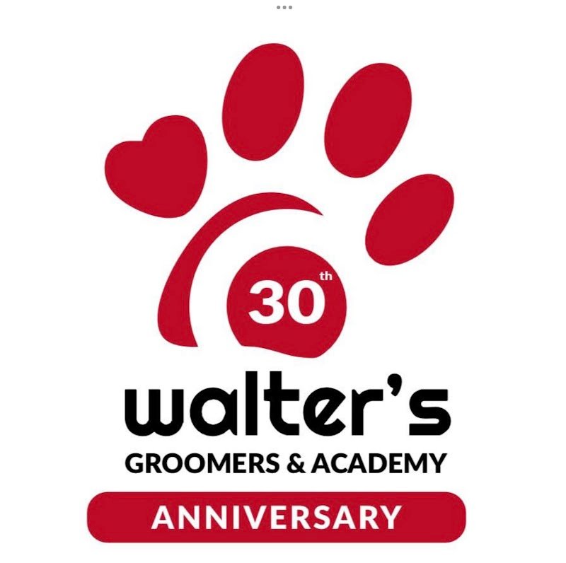 Walter’s 1995 - Bitonto - Foto 4