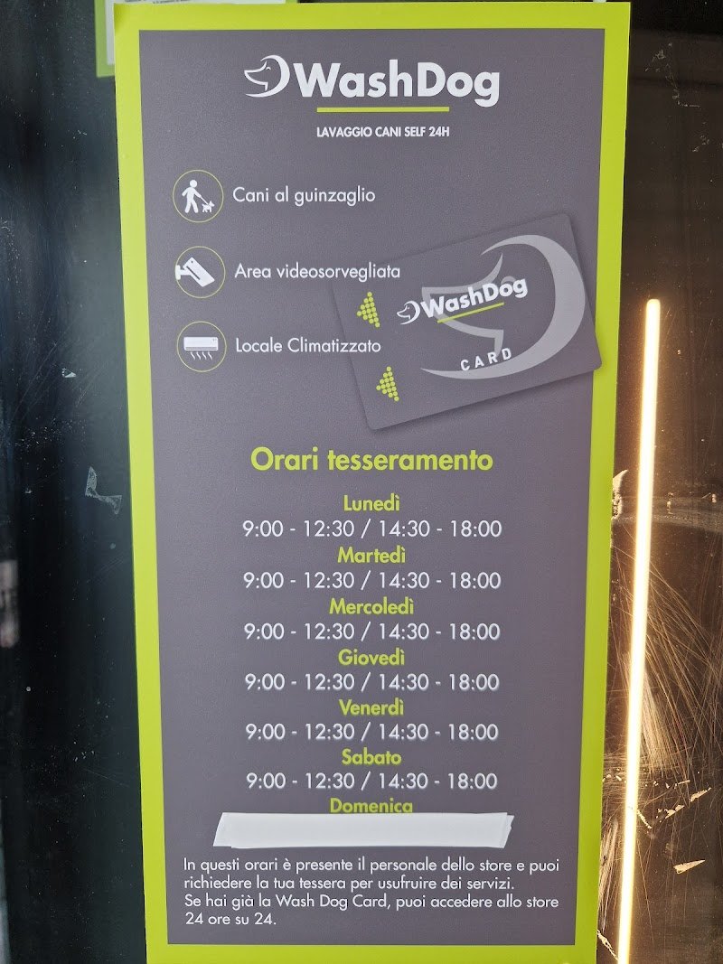 Wash Dog Abbiategrasso - Foto 4