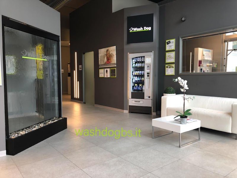 Wash Dog Brescia Piazzale Canton Mombello - Foto 1