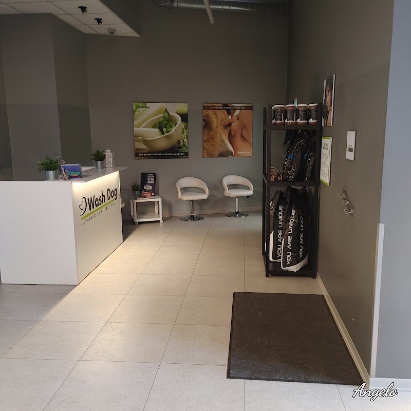 Wash Dog Brescia Piazzale Canton Mombello - Foto 3