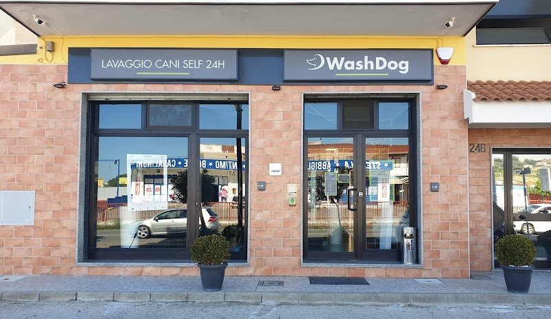 Wash Dog - Foto 1