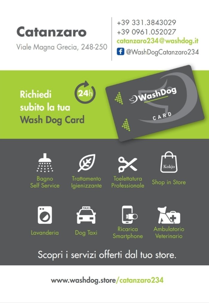 Wash Dog - Foto 4
