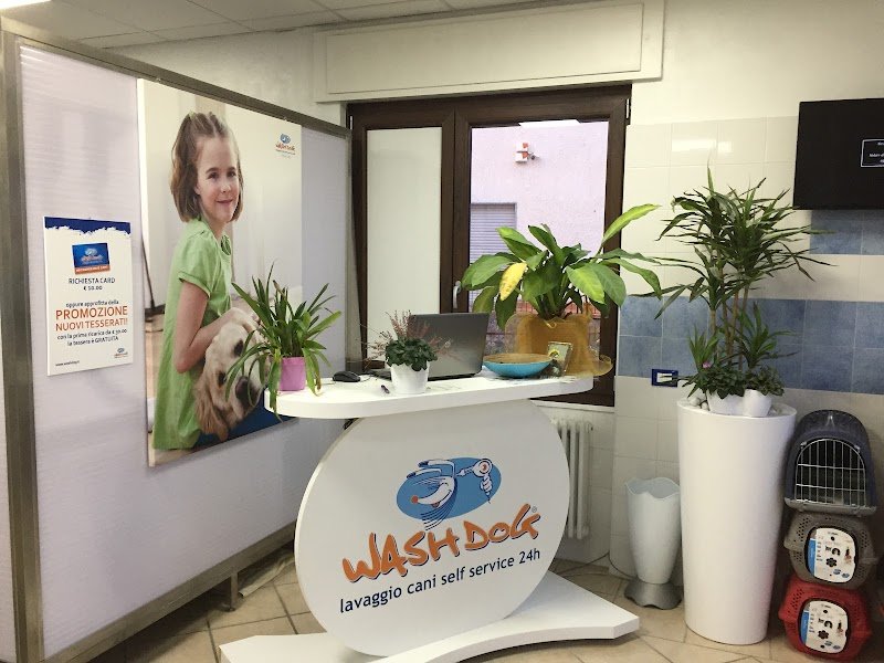Wash Dog Cavallasca - Foto 1