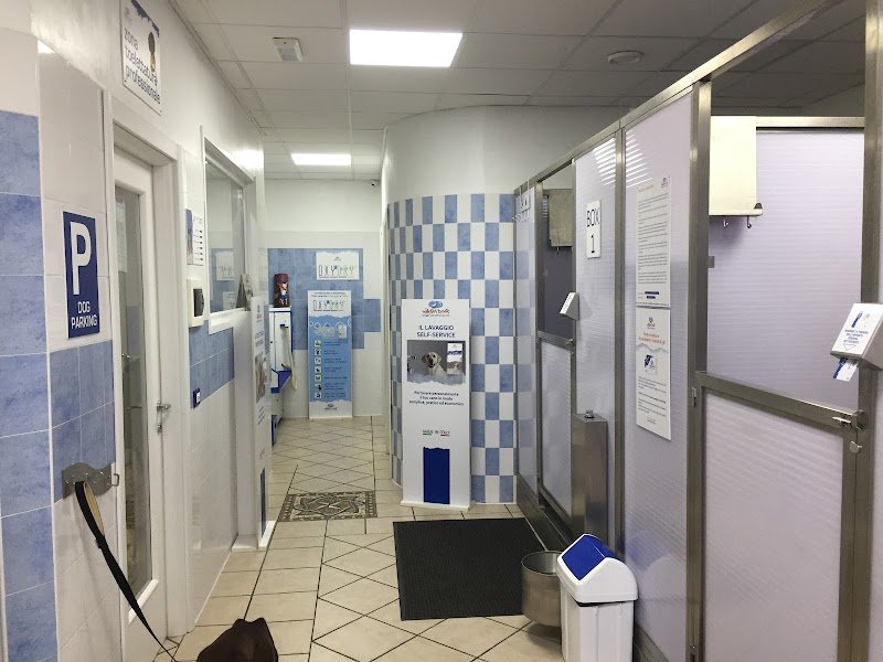 Wash Dog Cavallasca - Foto 2