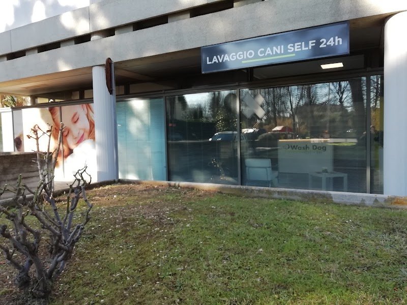 Wash Dog Fano - Foto 3