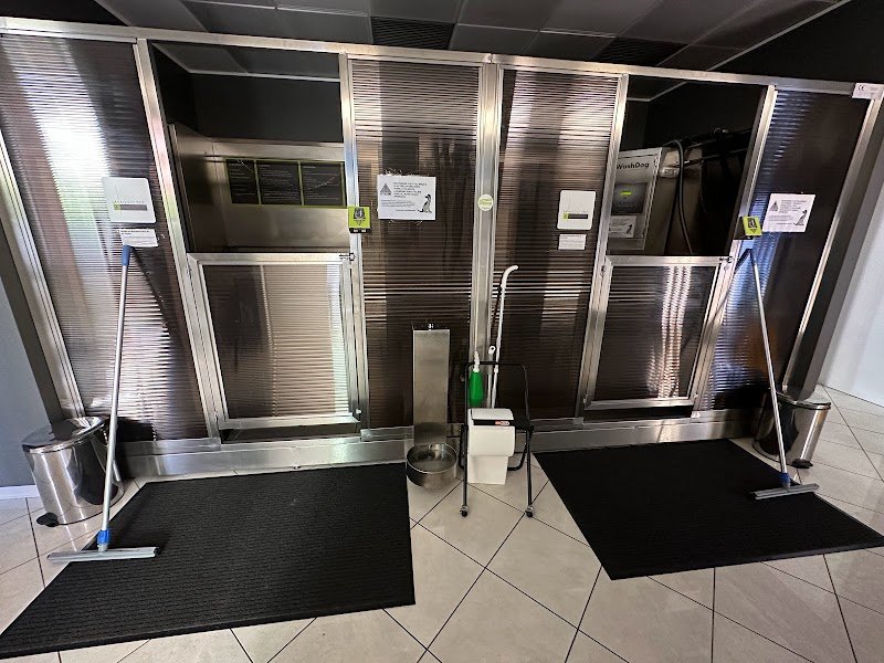 Wash dog Forlì Self Service H24 & Toelettatura professionale - Foto 6