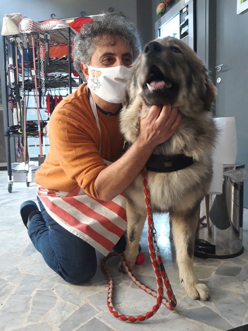 Wash Dog - lavaggio cani self 24h - Foto 4