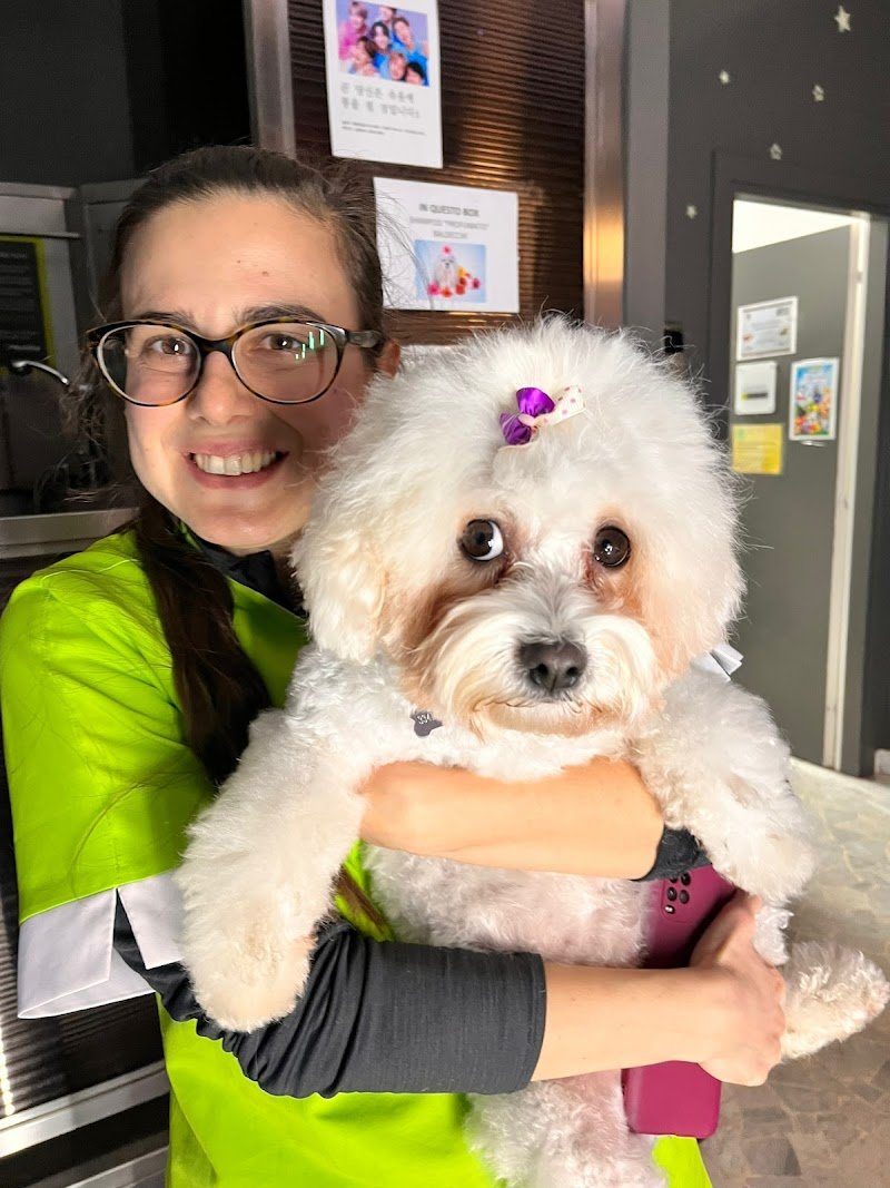 Wash Dog - lavaggio cani self 24h - Foto 5