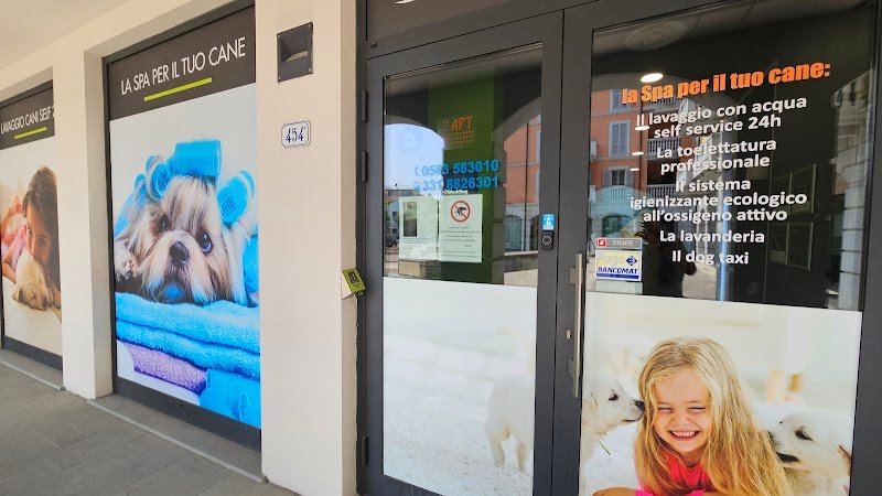 Wash Dog Lucca - Foto 4