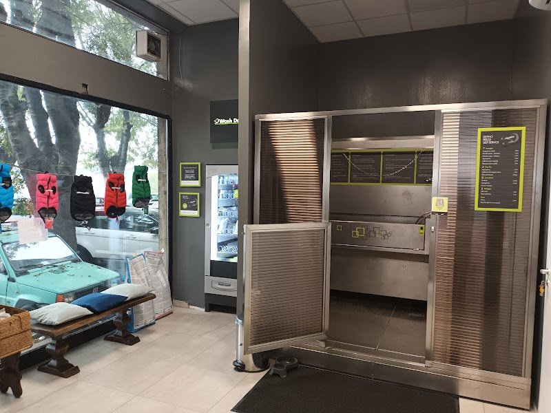 Wash Dog Pavia II - Foto 4