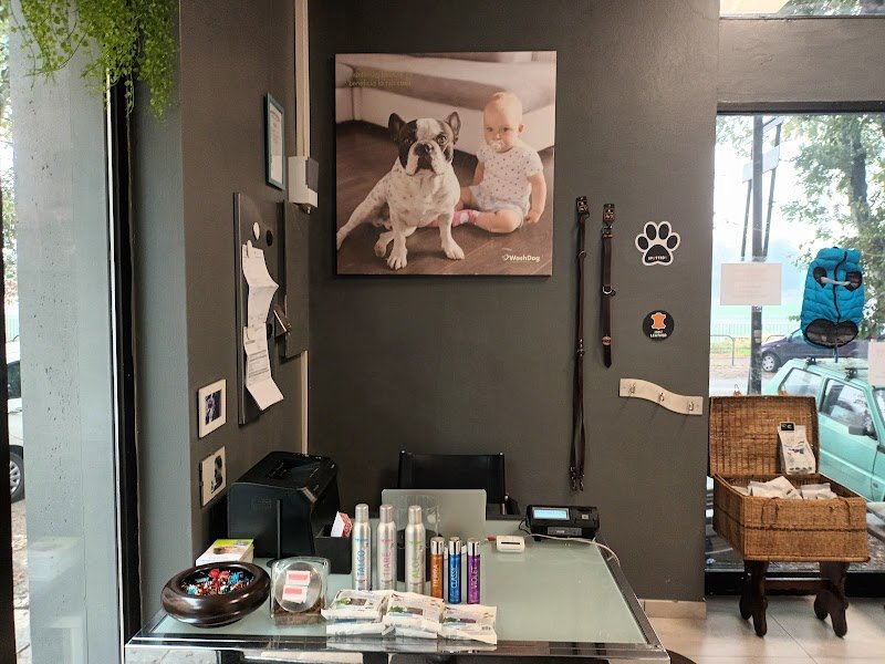 Wash Dog Pavia II - Foto 5