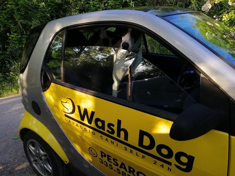 Wash Dog Pesaro - Foto 1