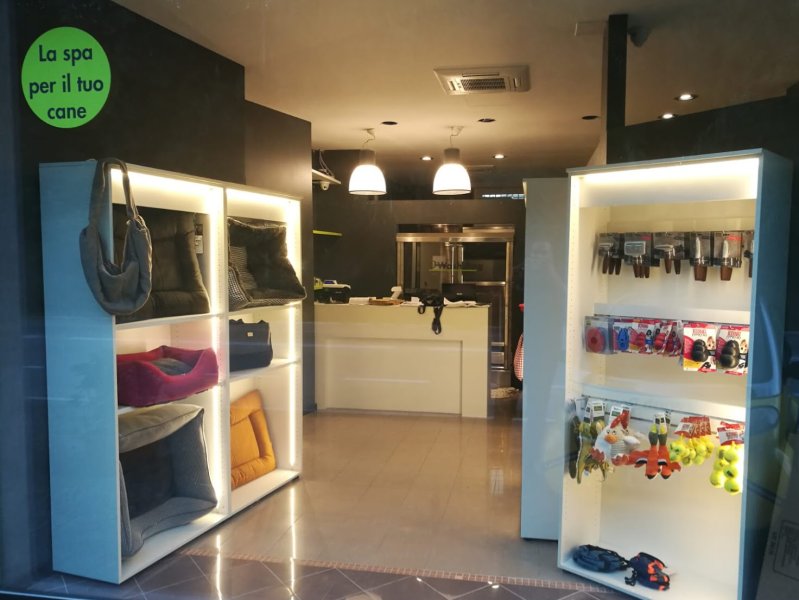 Wash Dog Pesaro - Foto 5