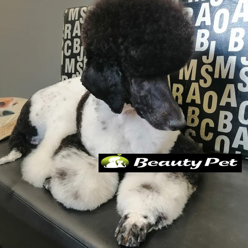 Wash Dog Prato - Foto 1