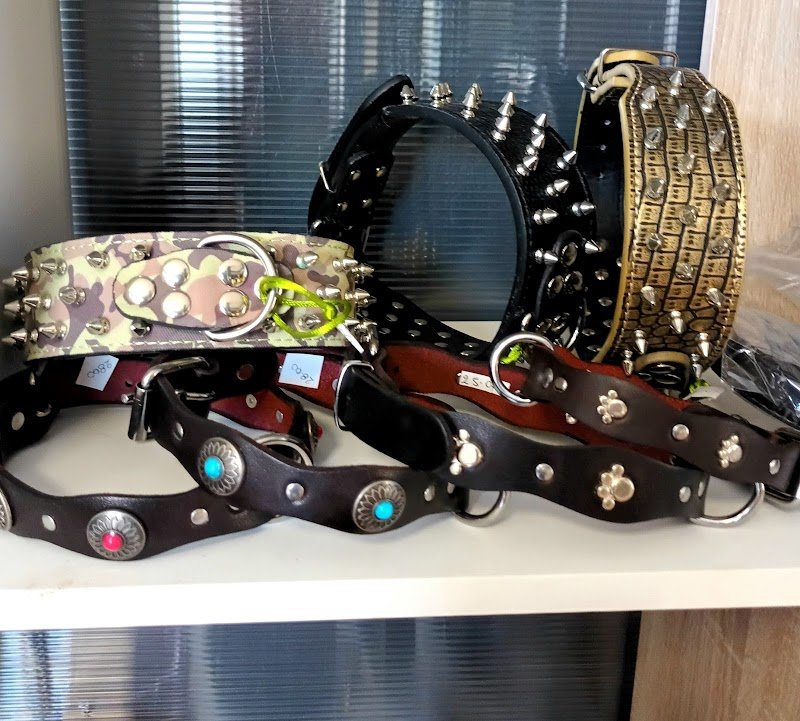 Wash dog Santarcangelo - Foto 4