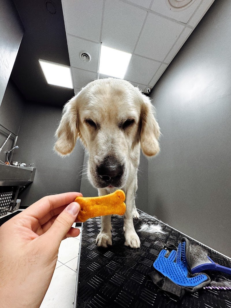 Wash Dog Torino Centro - Foto 2