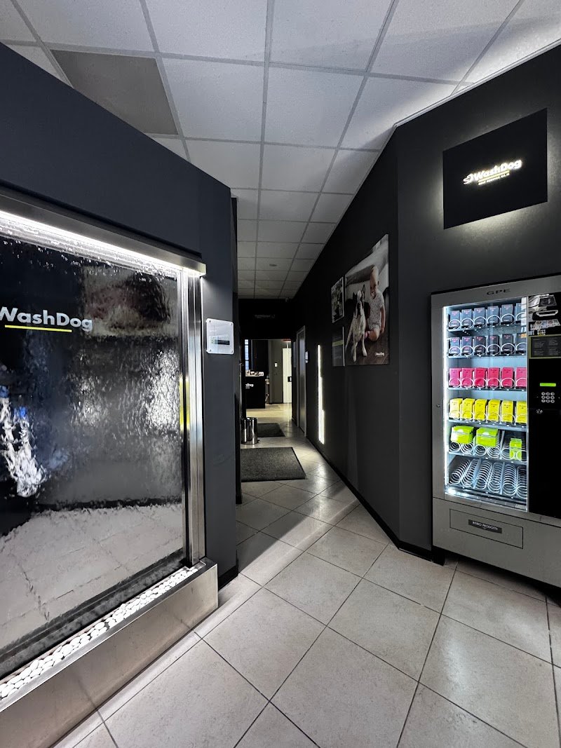 Wash Dog Torino Centro - Foto 3