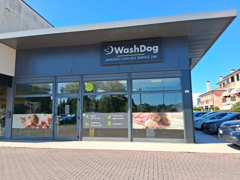 Wash Dog Treviso - Foto 2