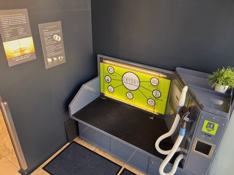 Wash Dog Treviso - Foto 4