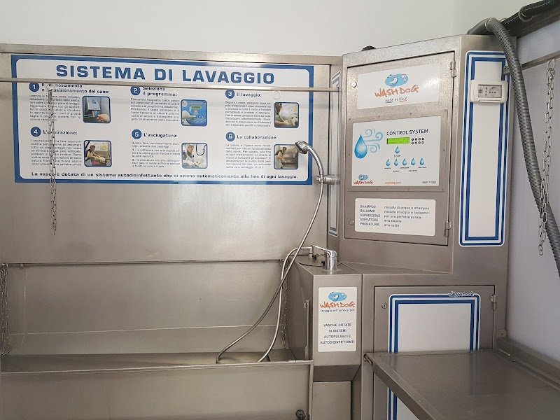 Wash Dog Treviso - Foto 5