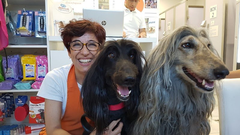 Wash Dog Vigevano - Foto 3