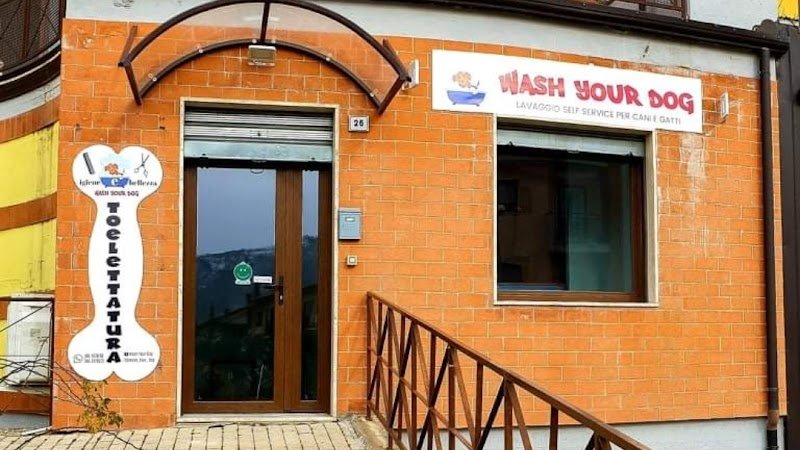 Wash Your Dog - Foto 1