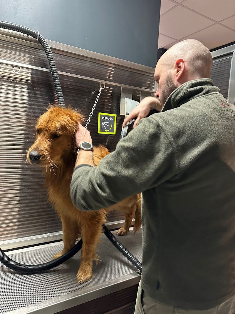 WashDog Busto Arsizio - Foto 6