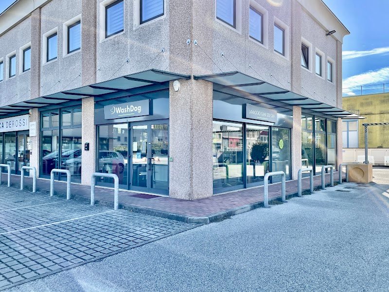 WashDog Marghera di Cristina Zamengo - Foto 3