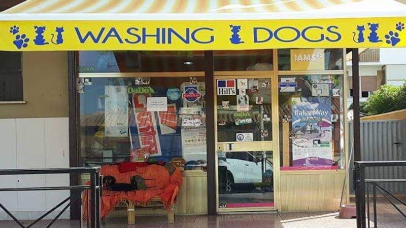 Washing dog - Foto 2
