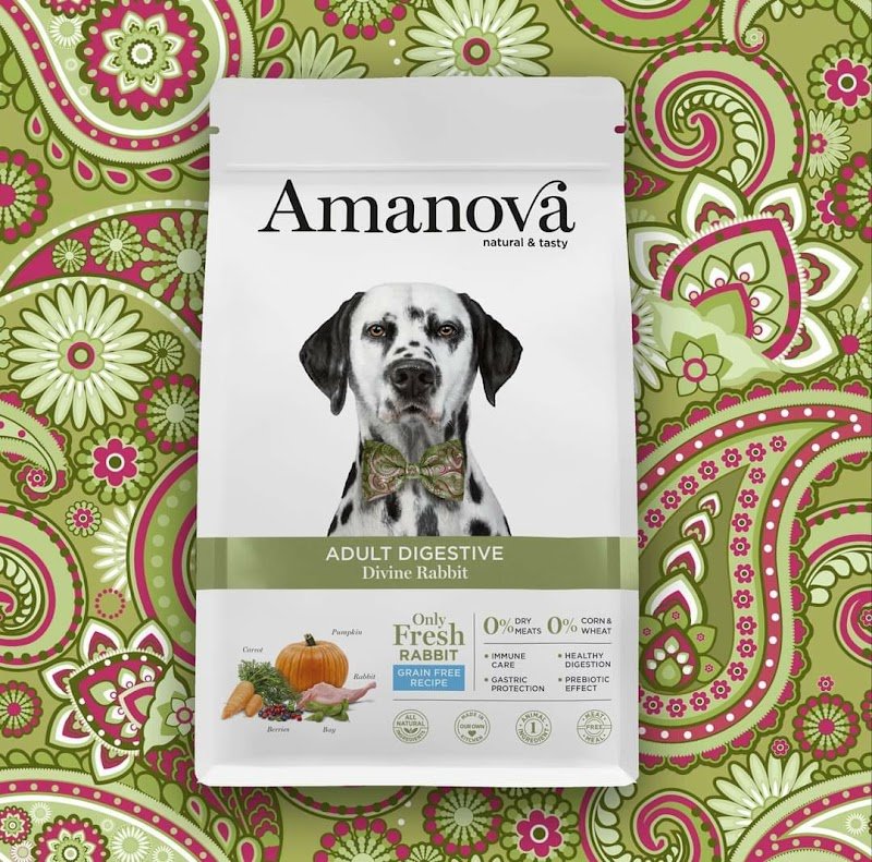 Washing dog - Foto 5