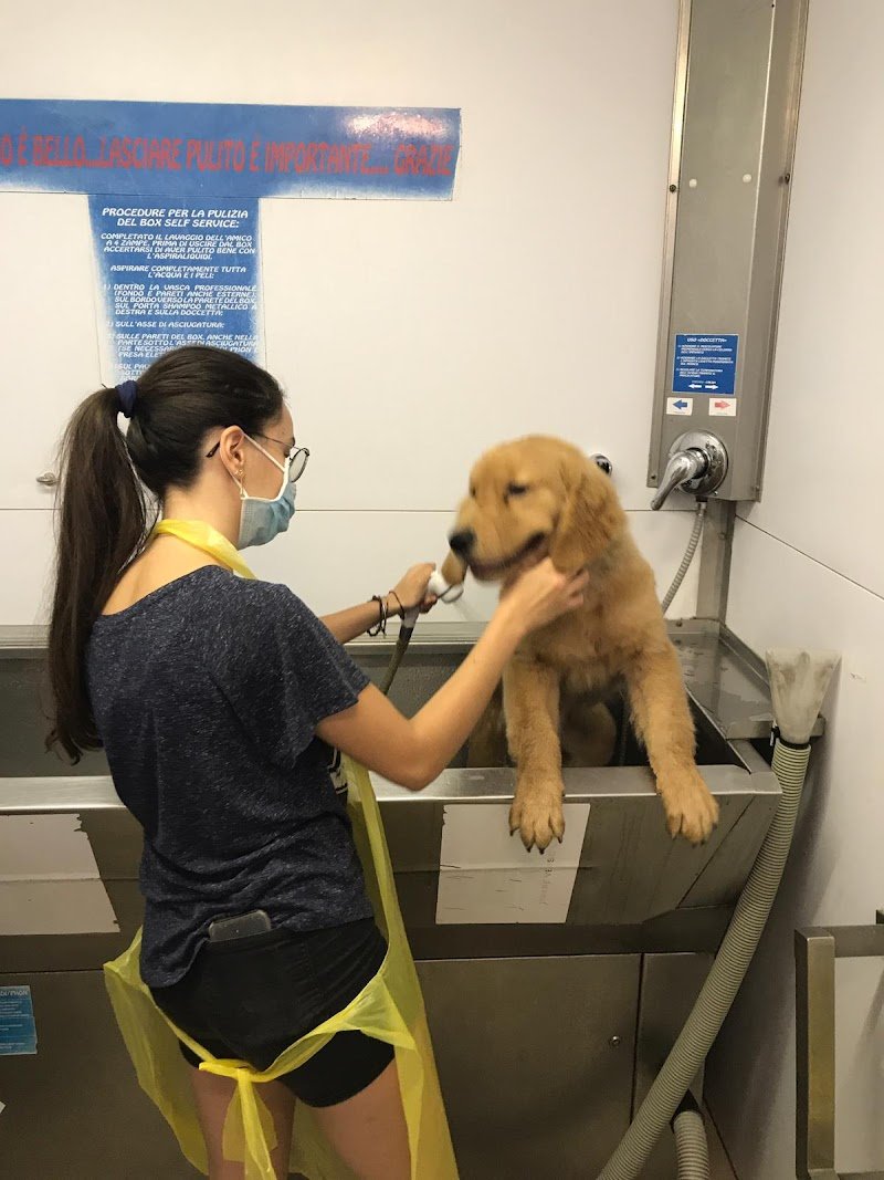 Wellness Dog Udine - Foto 1