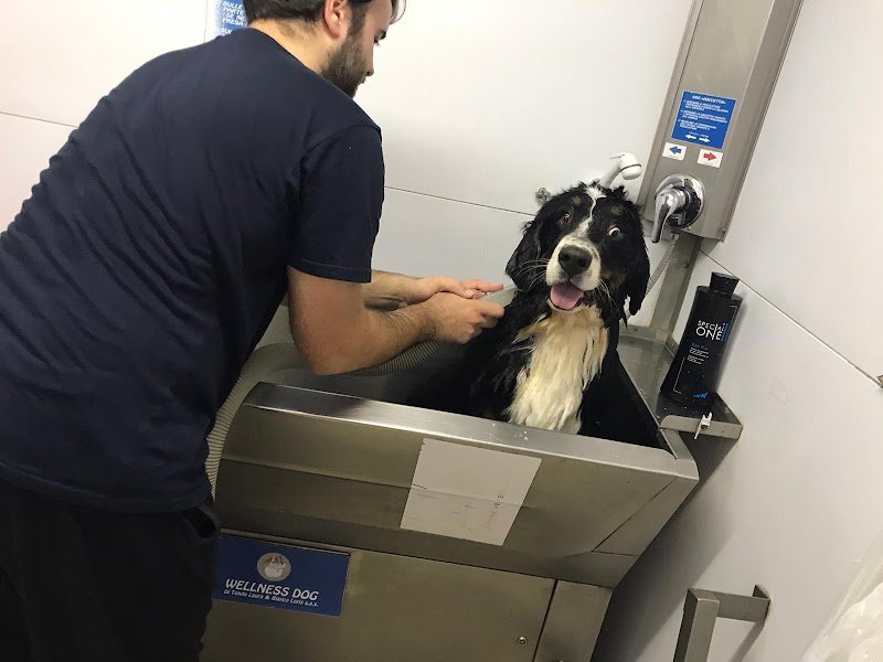 Wellness Dog Udine - Foto 2