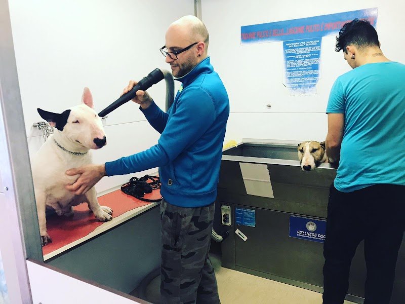 Wellness Dog Udine - Foto 5
