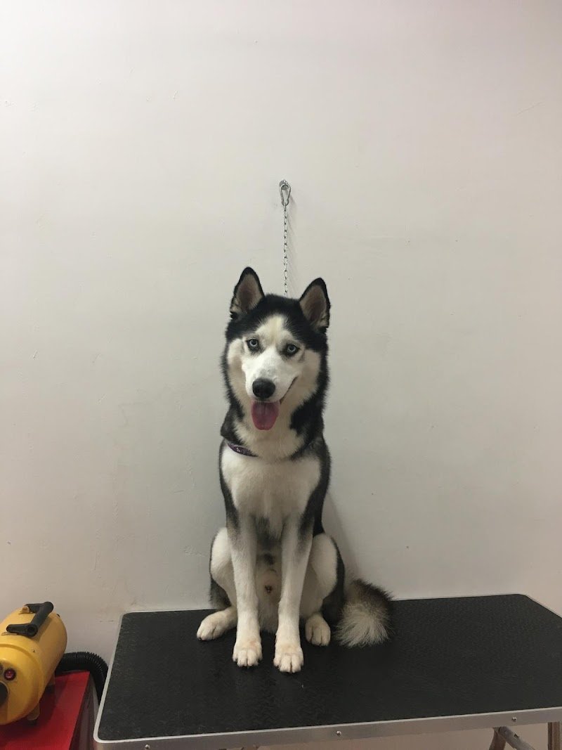 Westy land & friends - Foto 1