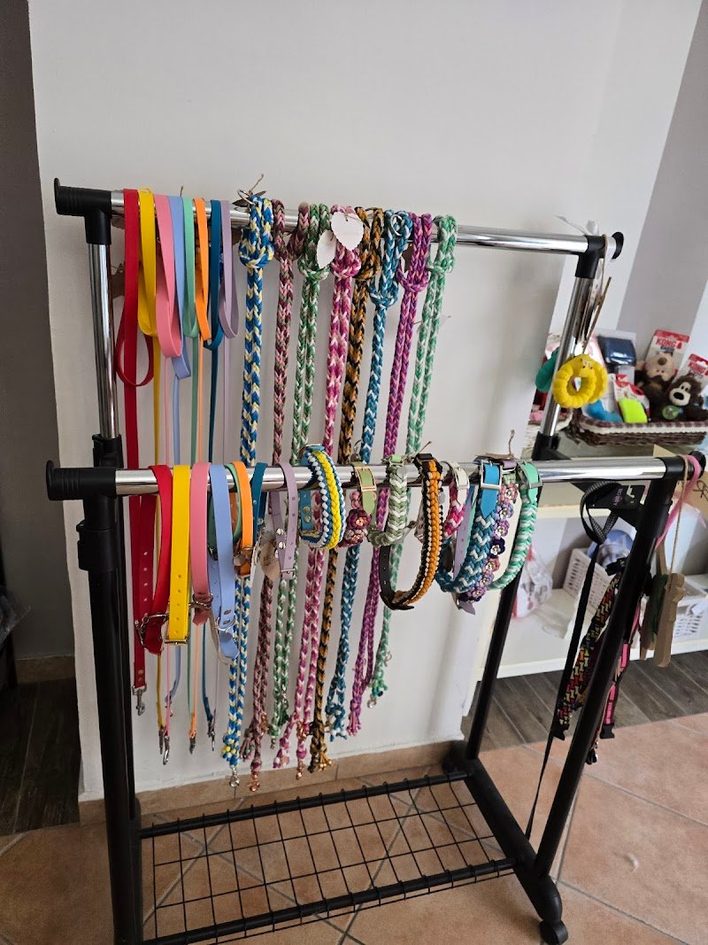 Westy land & friends - Foto 2