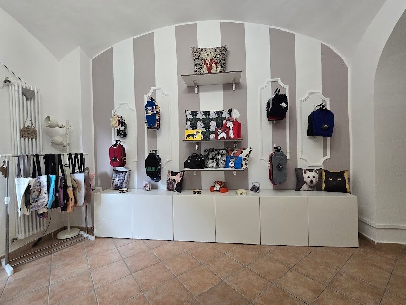 Westy land & friends - Foto 6